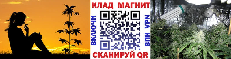 A PVP Мамадыш