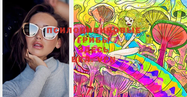 мдпв Нягань