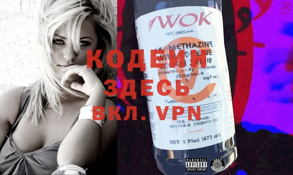 индика Новозыбков
