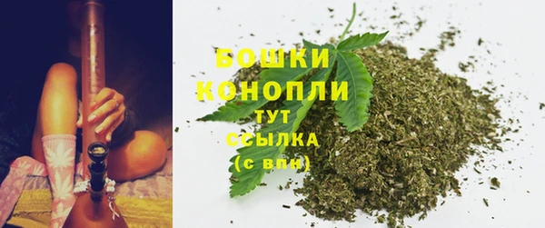 mdpv Няндома